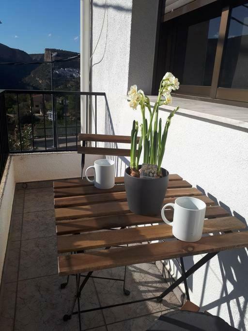 Appartement Narcisos